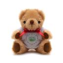 Image of Small Jointed Teddy
